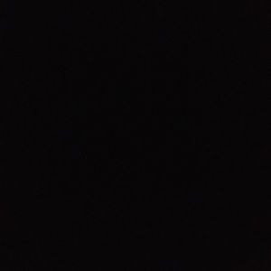 Meet your Posher, Laila